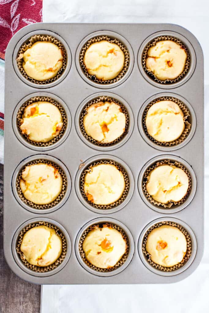 Cupcakes in a muffin tin after baking.